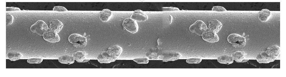 w88win优德·(中国)手机版官网